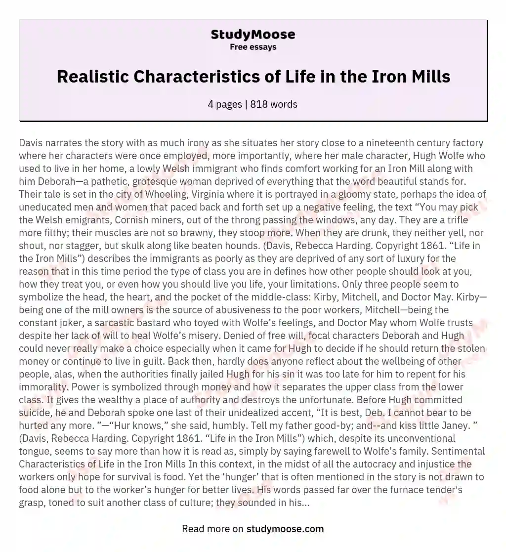 Realistic Characteristics of Life in the Iron Mills essay