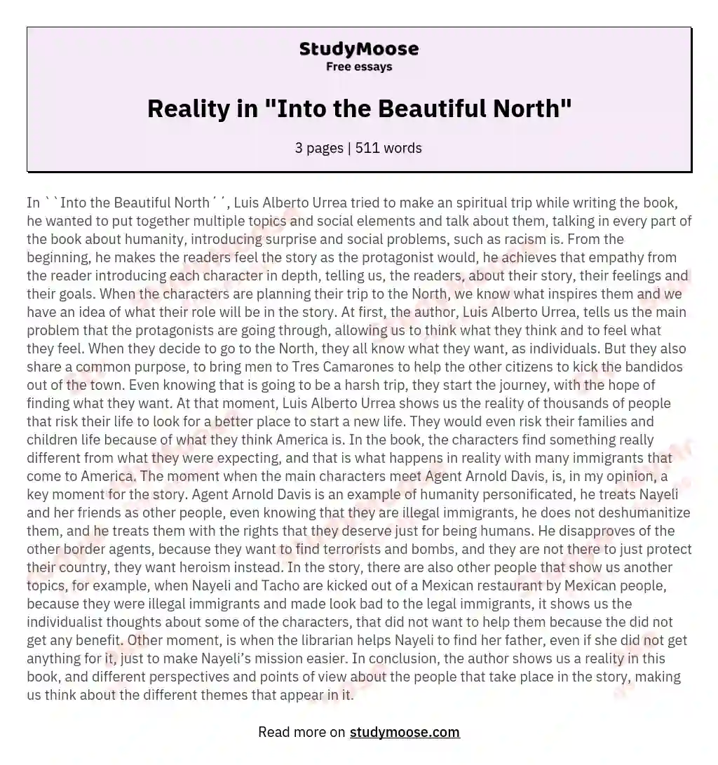 Reality in "Into the Beautiful North" essay