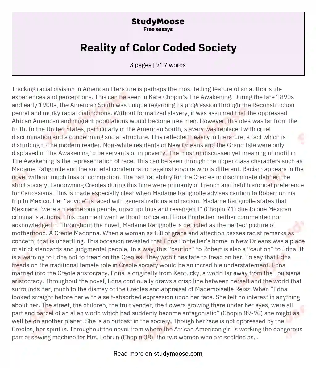 Reality of Color Coded Society essay