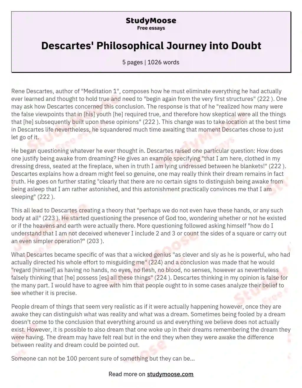 Descartes' Philosophical Journey into Doubt essay