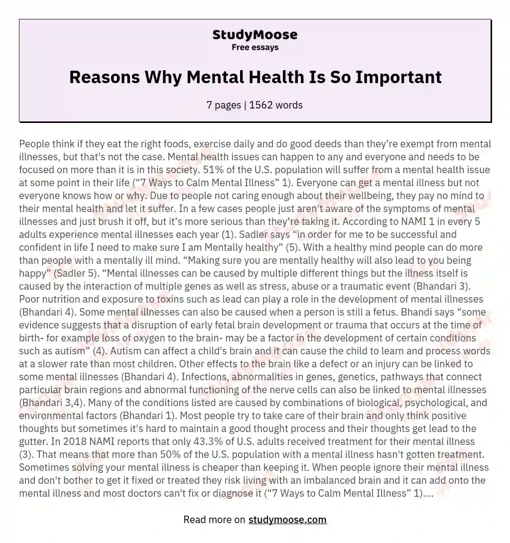 Reasons Why Mental Health Is So Important essay