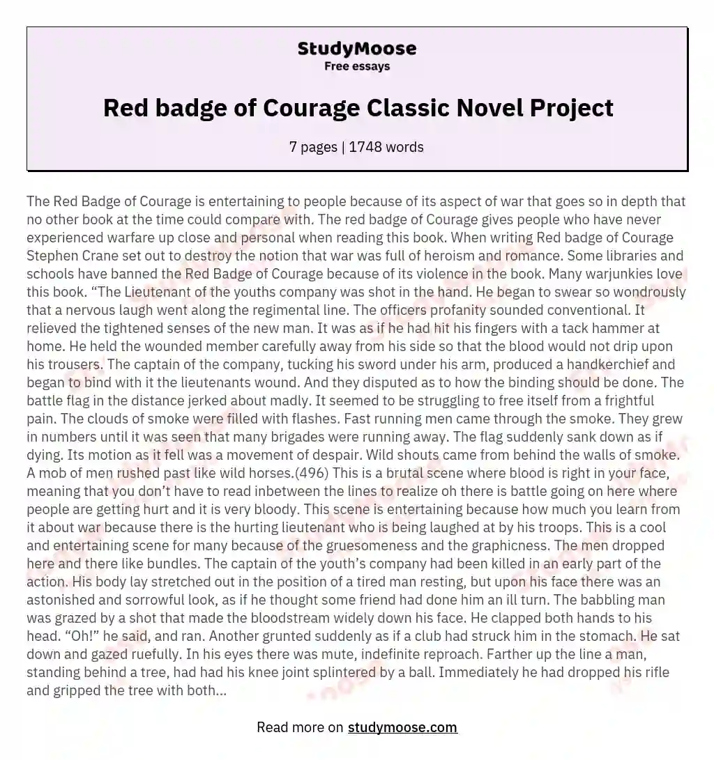 Red badge of Courage Classic Novel Project essay