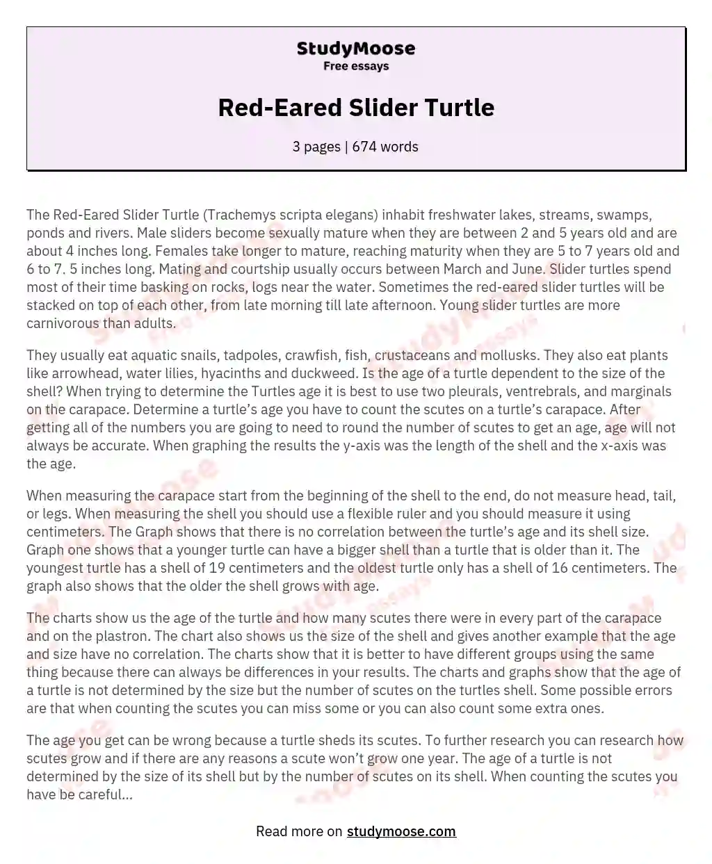 Exploring the Life of the Red-Eared Slider Turtle essay