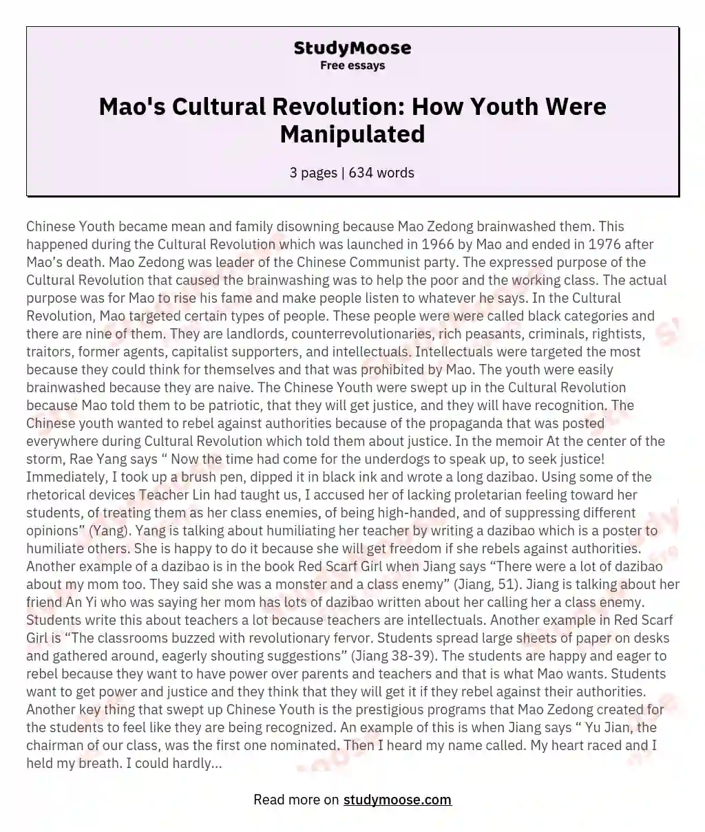Mao's Cultural Revolution: How Youth Were Manipulated essay
