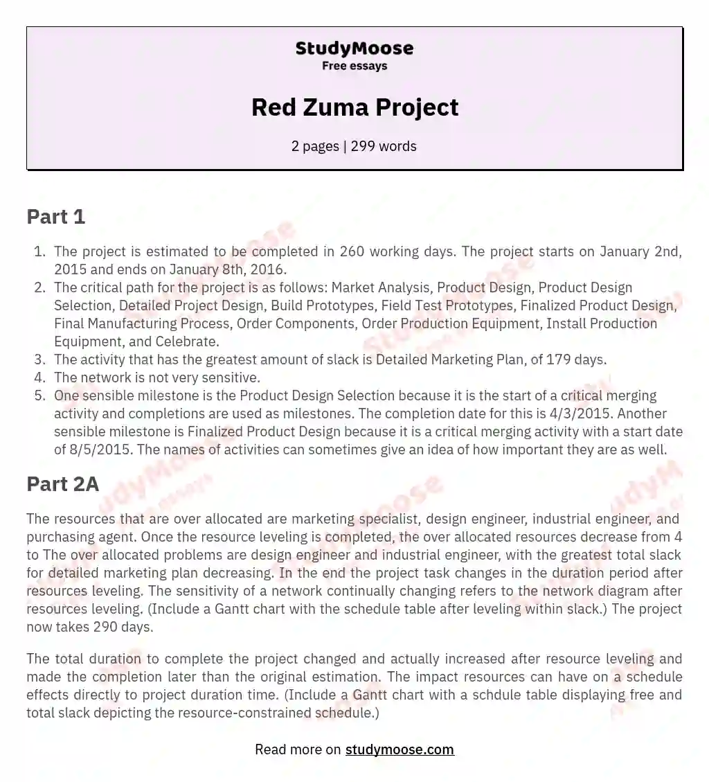 Red Zuma Project essay