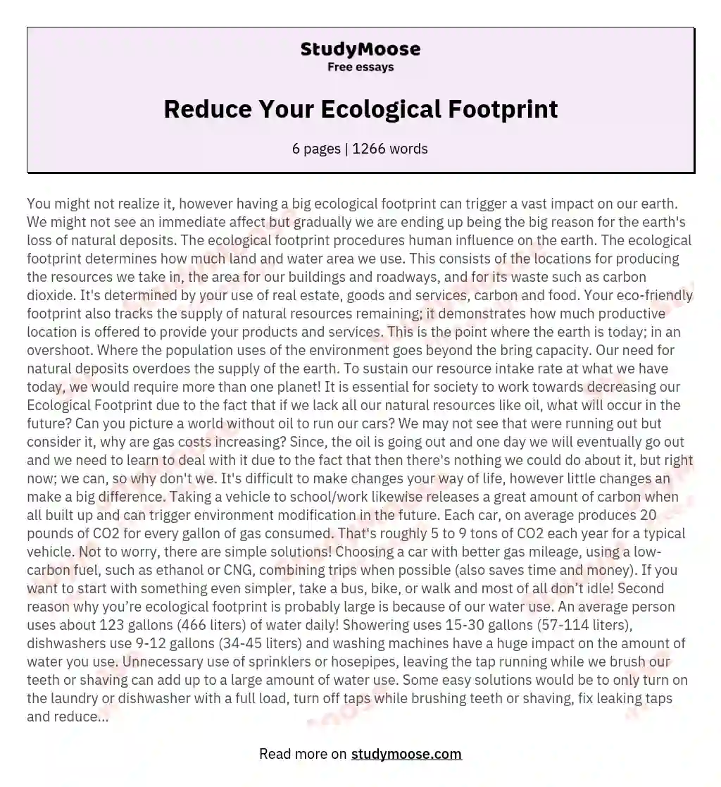 Reduce Your Ecological Footprint essay