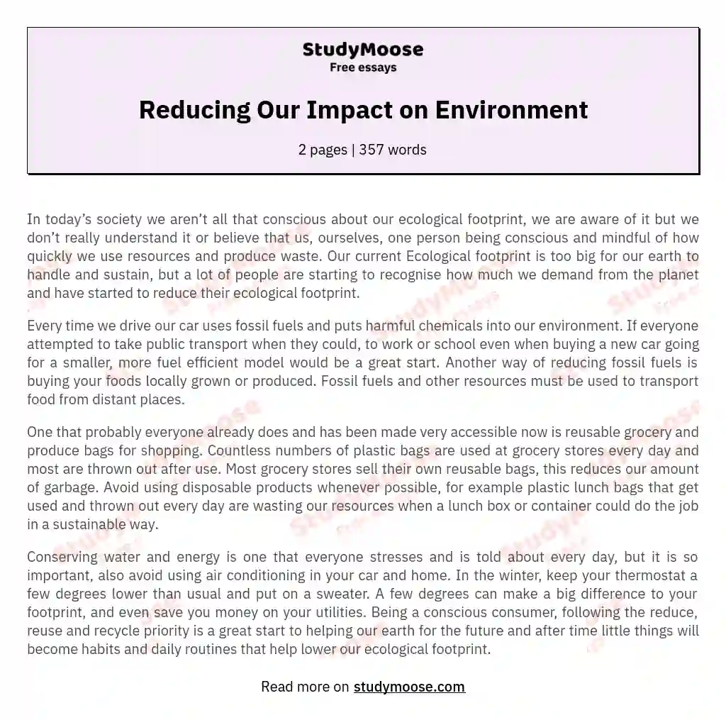 Reducing Our Impact on Environment essay