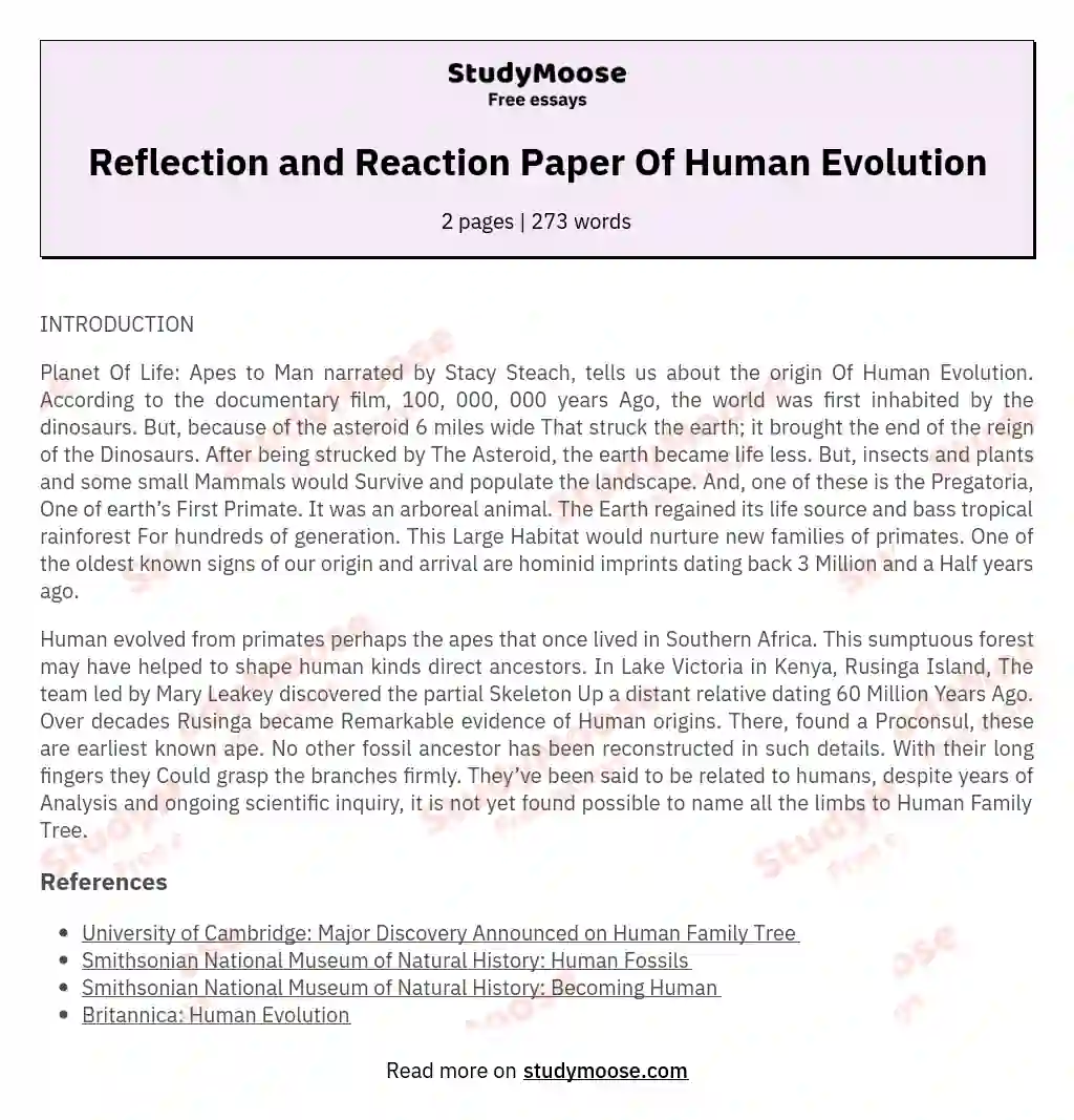 Reflection and Reaction Paper Of Human Evolution essay