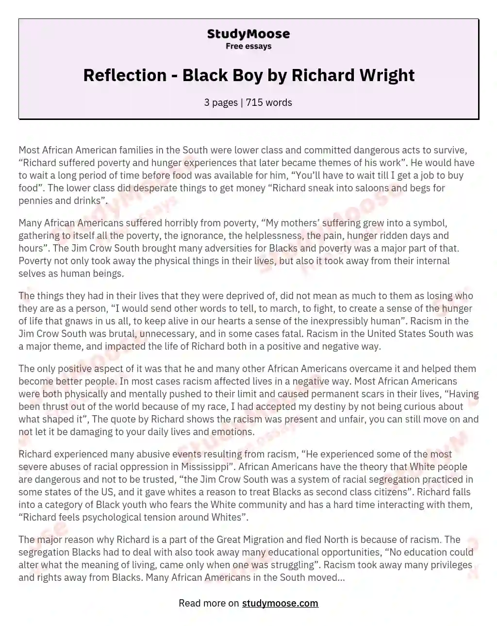 Reflection - Black Boy by Richard Wright