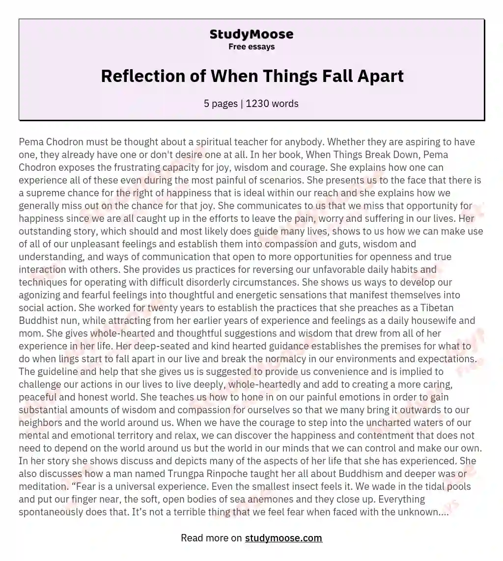 Reflection of When Things Fall Apart essay