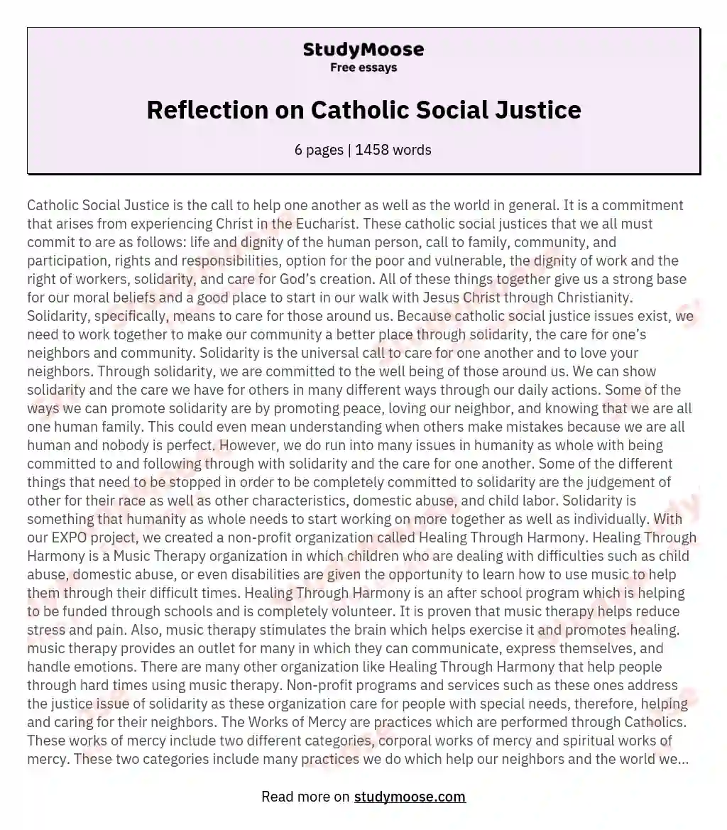 Reflection on Catholic Social Justice essay