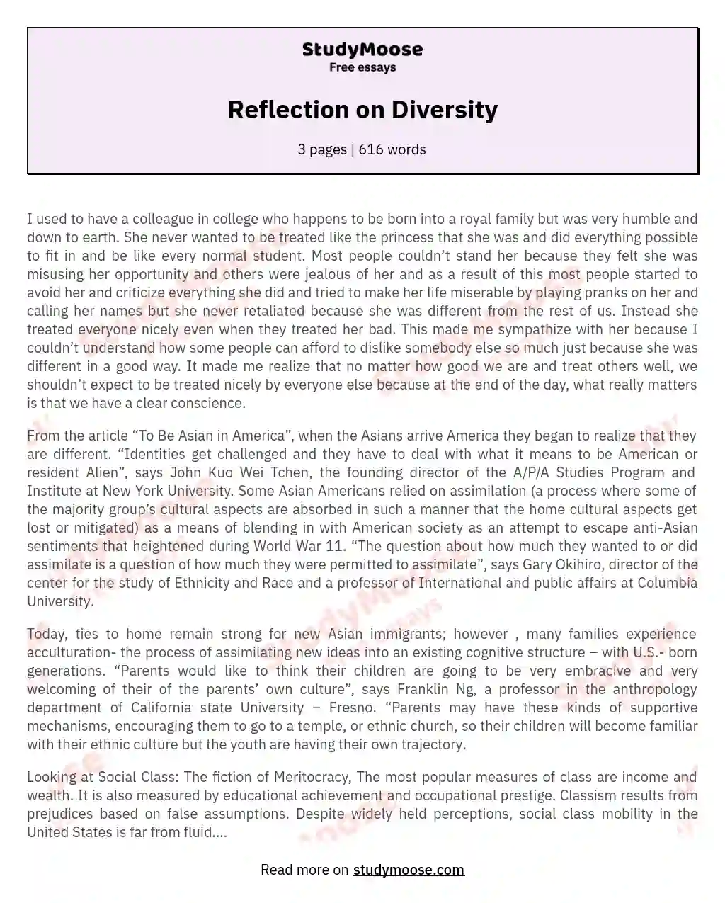 Reflection on Diversity essay