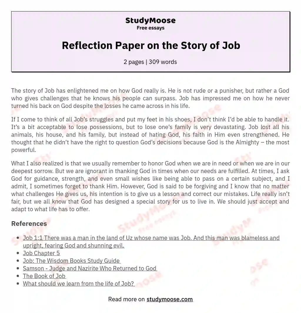 Reflection Paper on the Story of Job essay