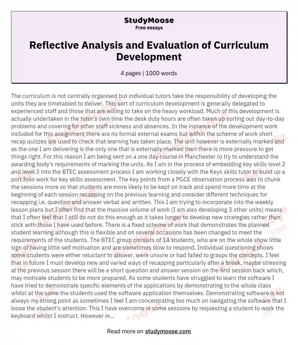 curriculum and planning reflection essay