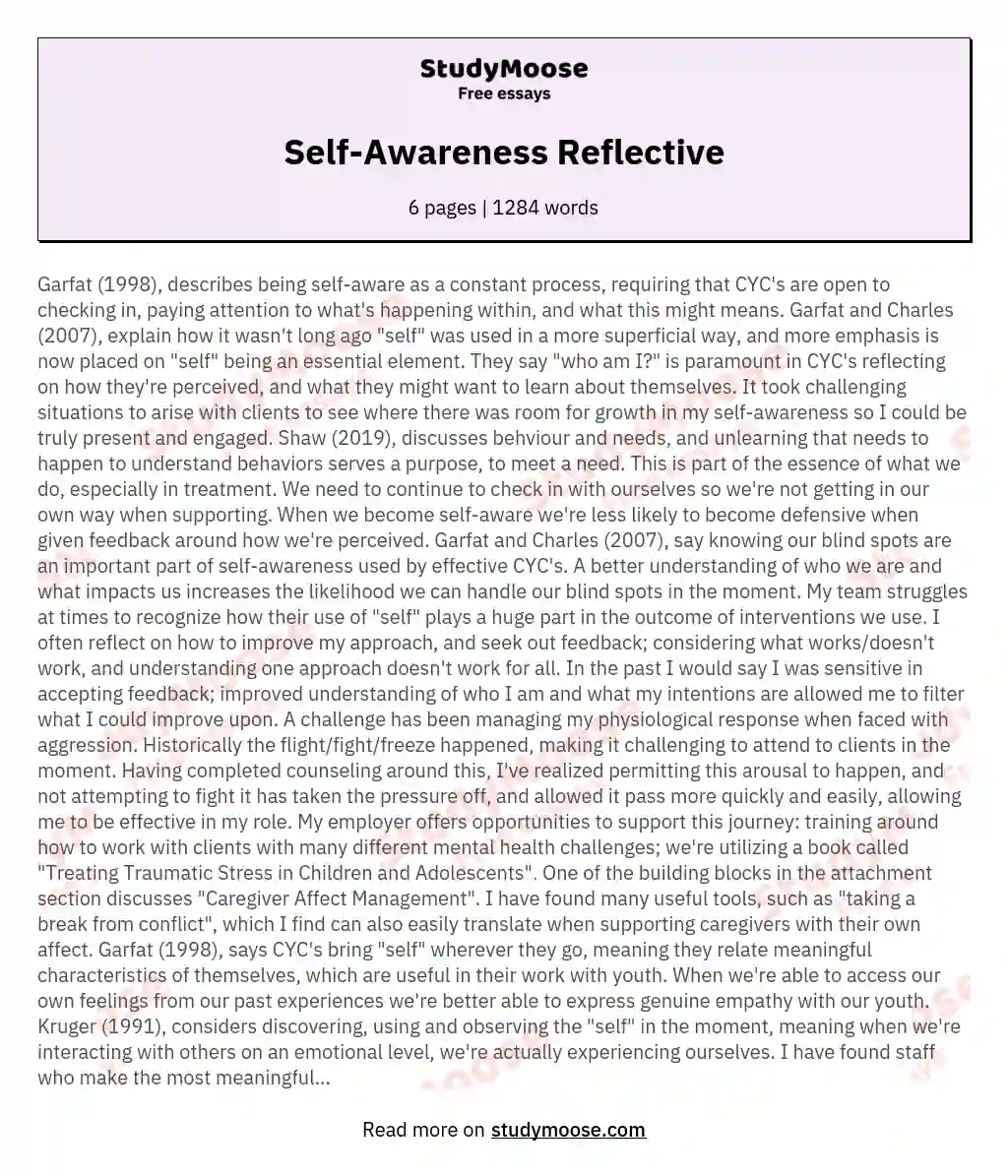 Self-Awareness Reflective