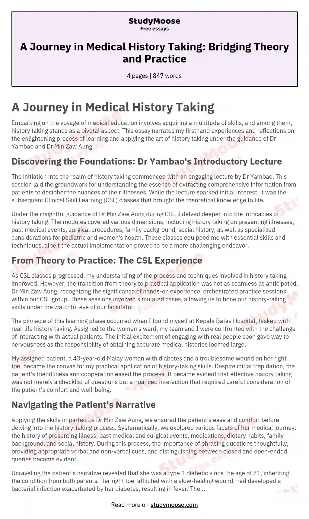 A Journey in Medical History Taking: Bridging Theory and Practice essay