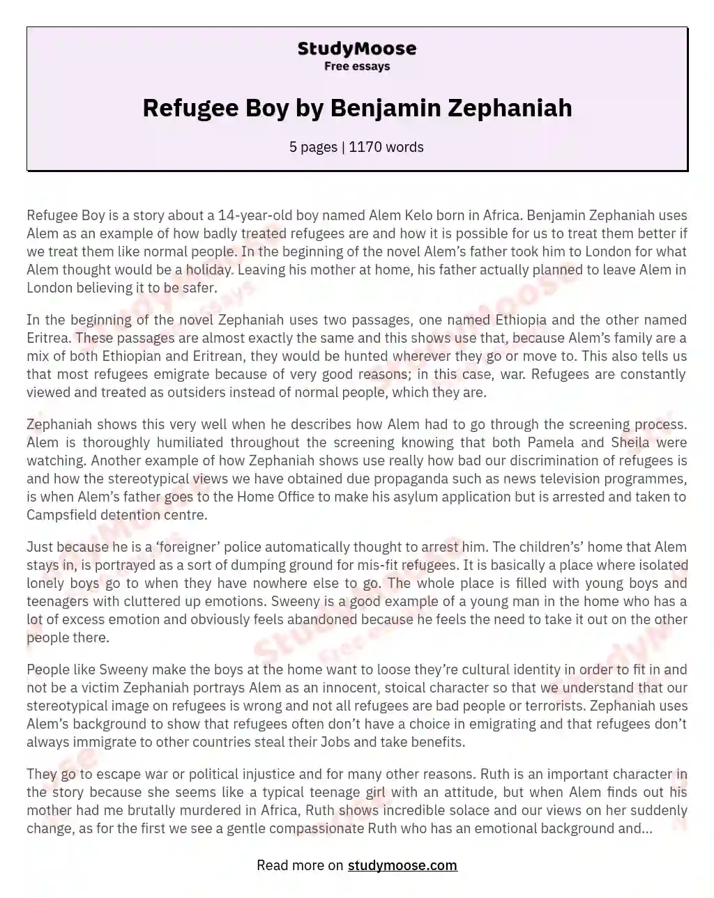 Refugee Boy by Benjamin Zephaniah essay