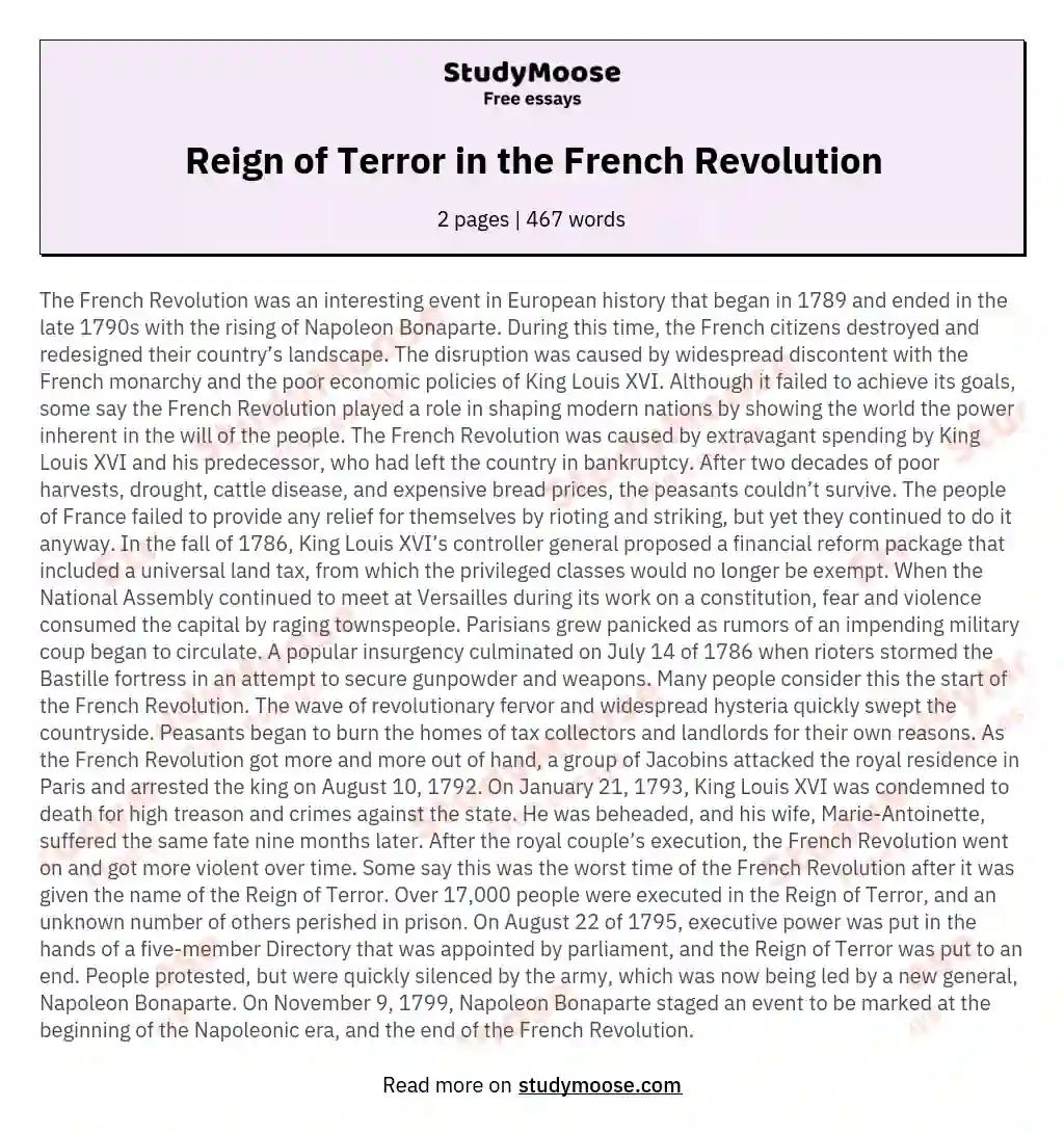 Reign of Terror in the French Revolution essay