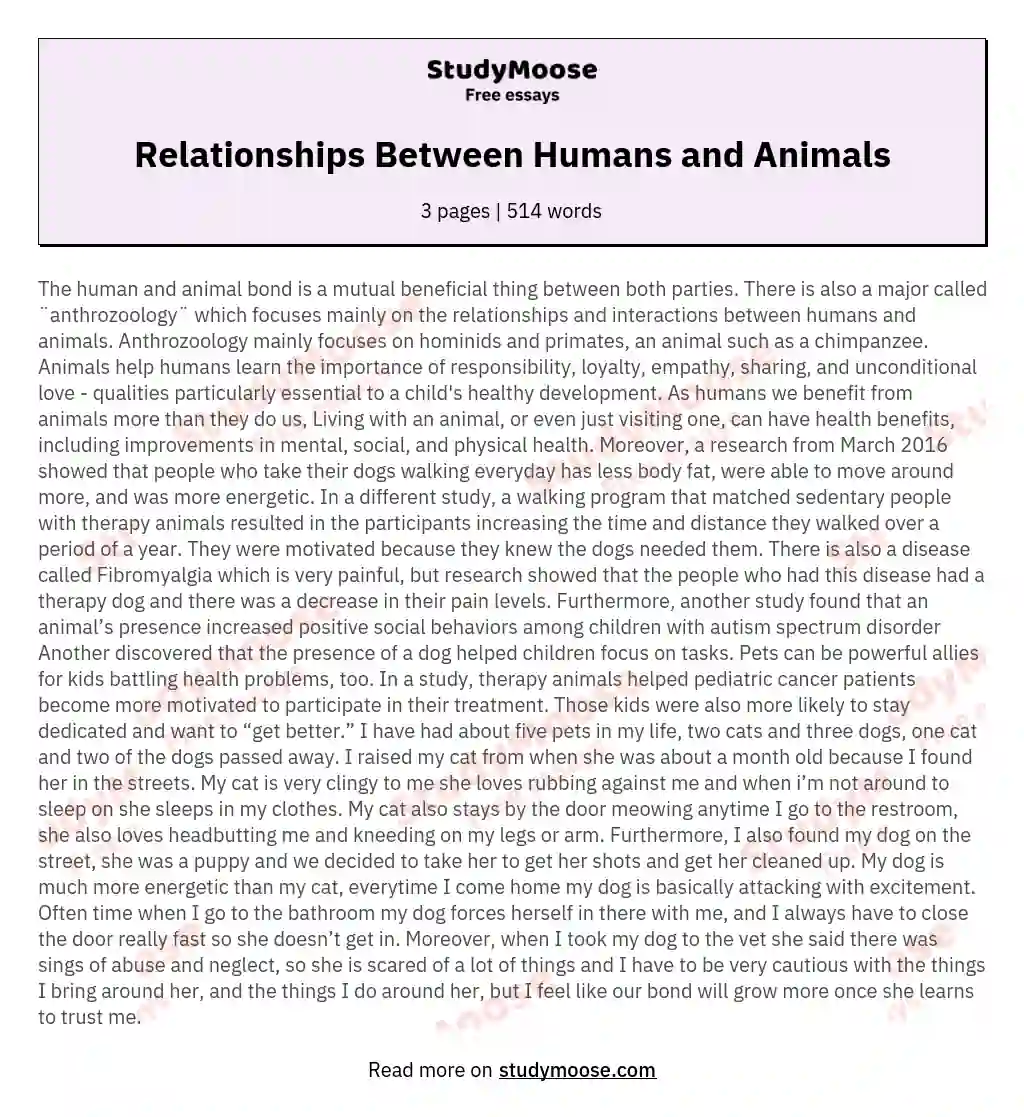 Relationships Between Humans and Animals essay