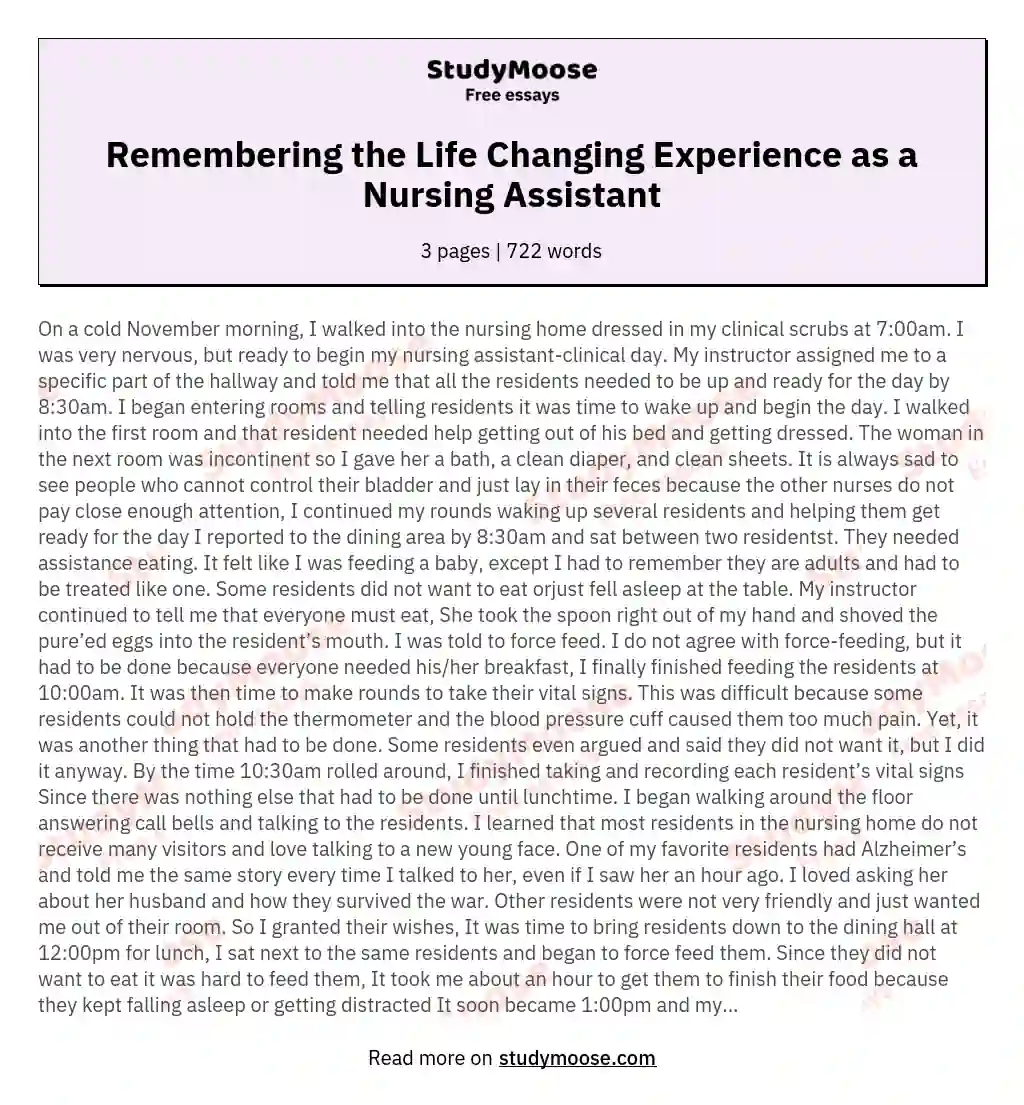 Remembering the Life Changing Experience as a Nursing Assistant essay