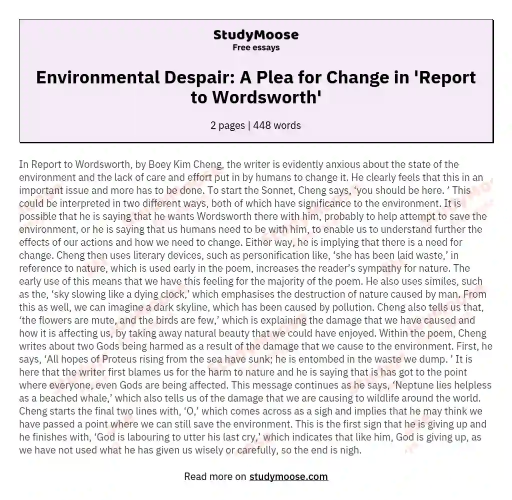 Environmental Despair: A Plea for Change in 'Report to Wordsworth' essay