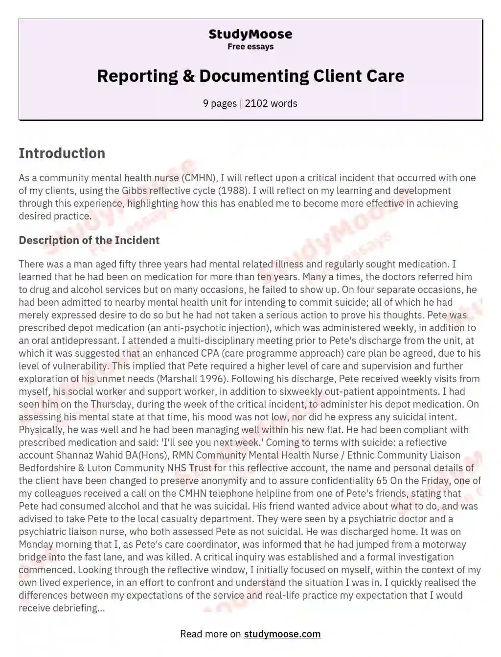 Reporting & Documenting Client Care essay