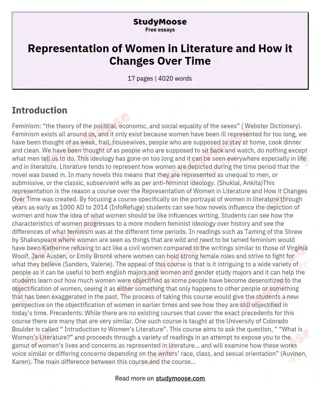 Representation of Women in Literature and How it Changes Over Time essay