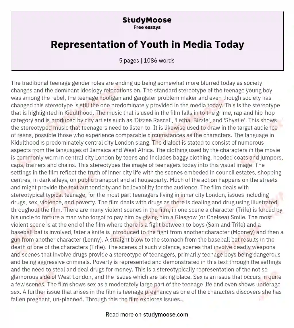 Representation of Youth in Media Today essay