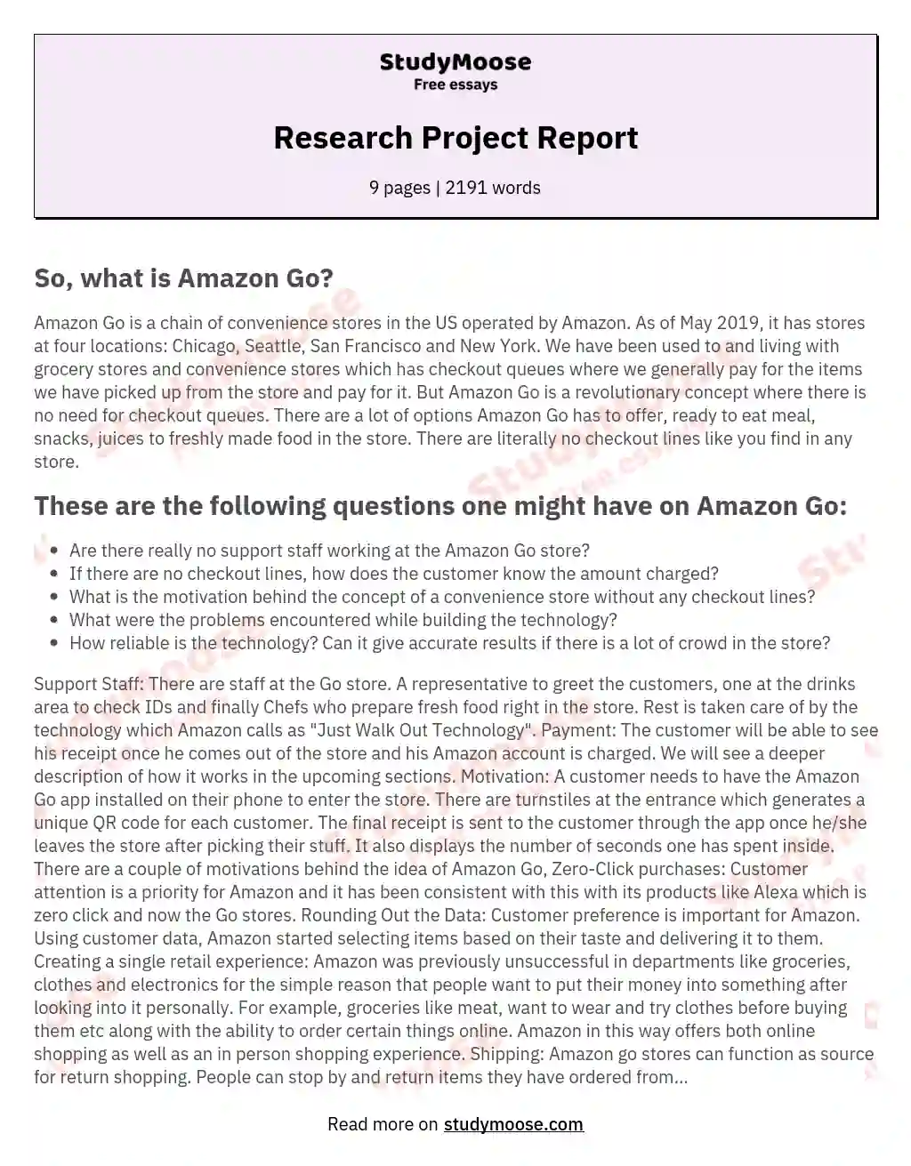 Research Project Report essay