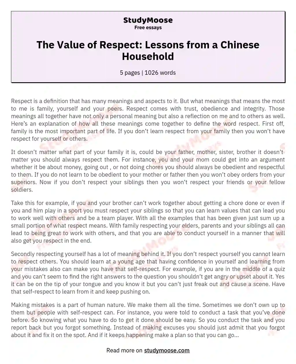 The Value of Respect: Lessons from a Chinese Household essay