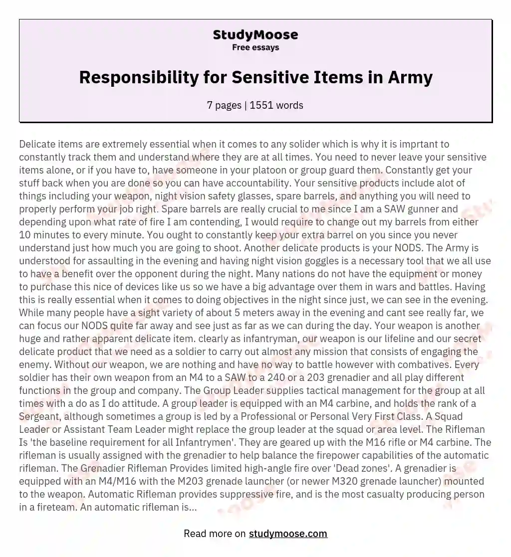 Responsibility for Sensitive Items in Army essay