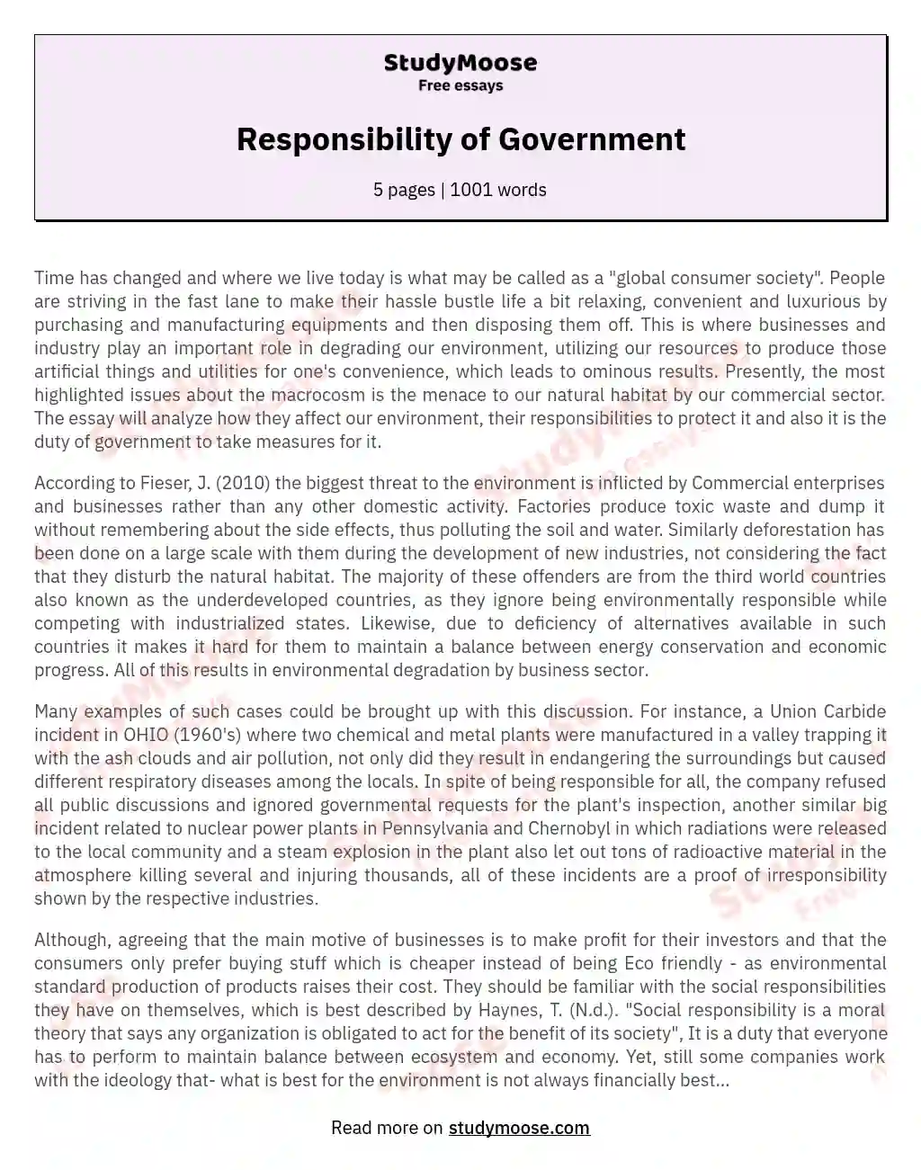 Responsibility of Government essay