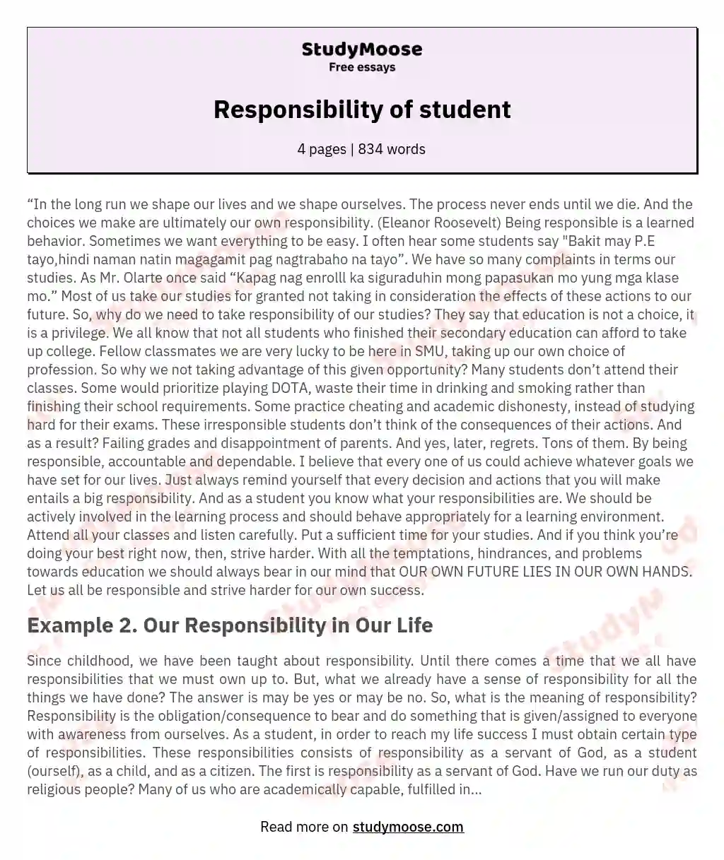 Responsibility of student essay