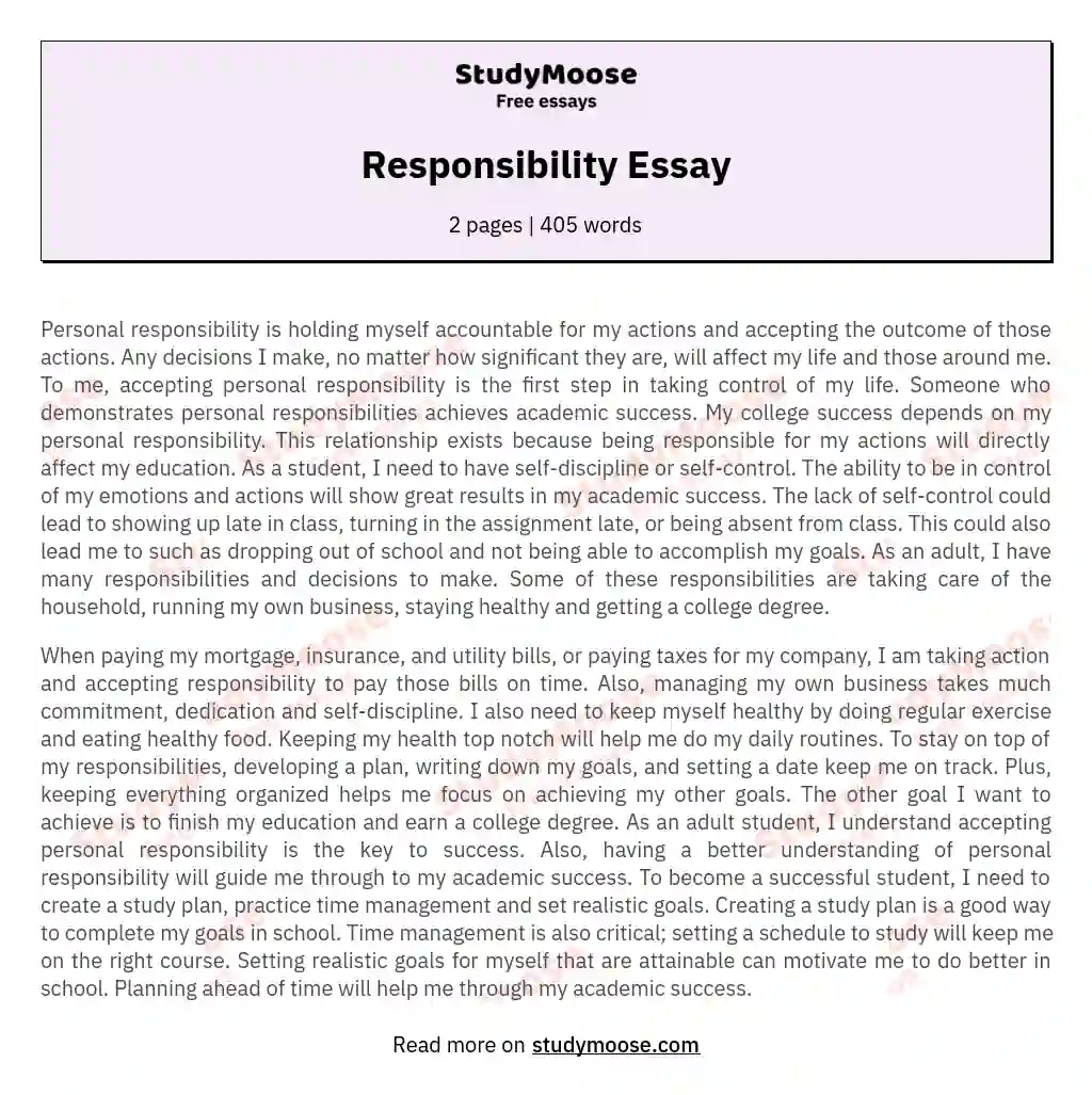 professional responsibility essay