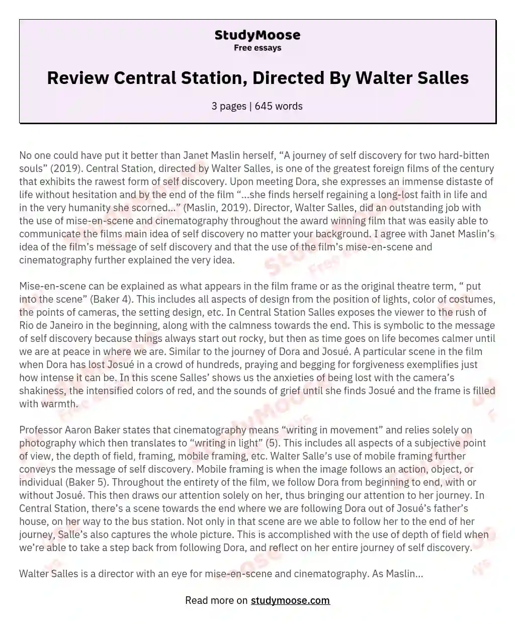 Review Central Station, Directed By Walter Salles essay