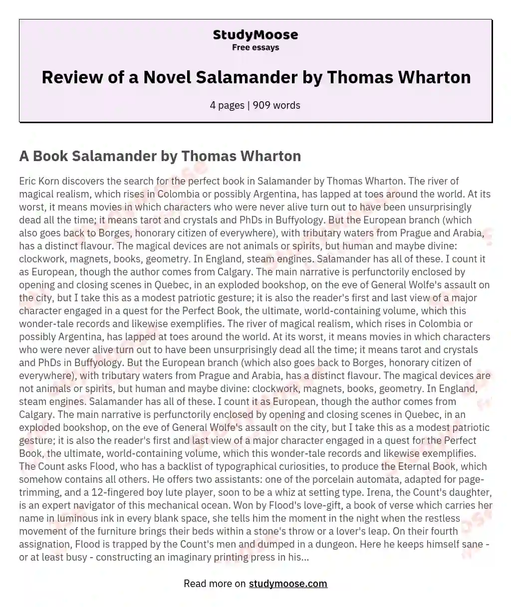 Review of a Novel Salamander by Thomas Wharton essay