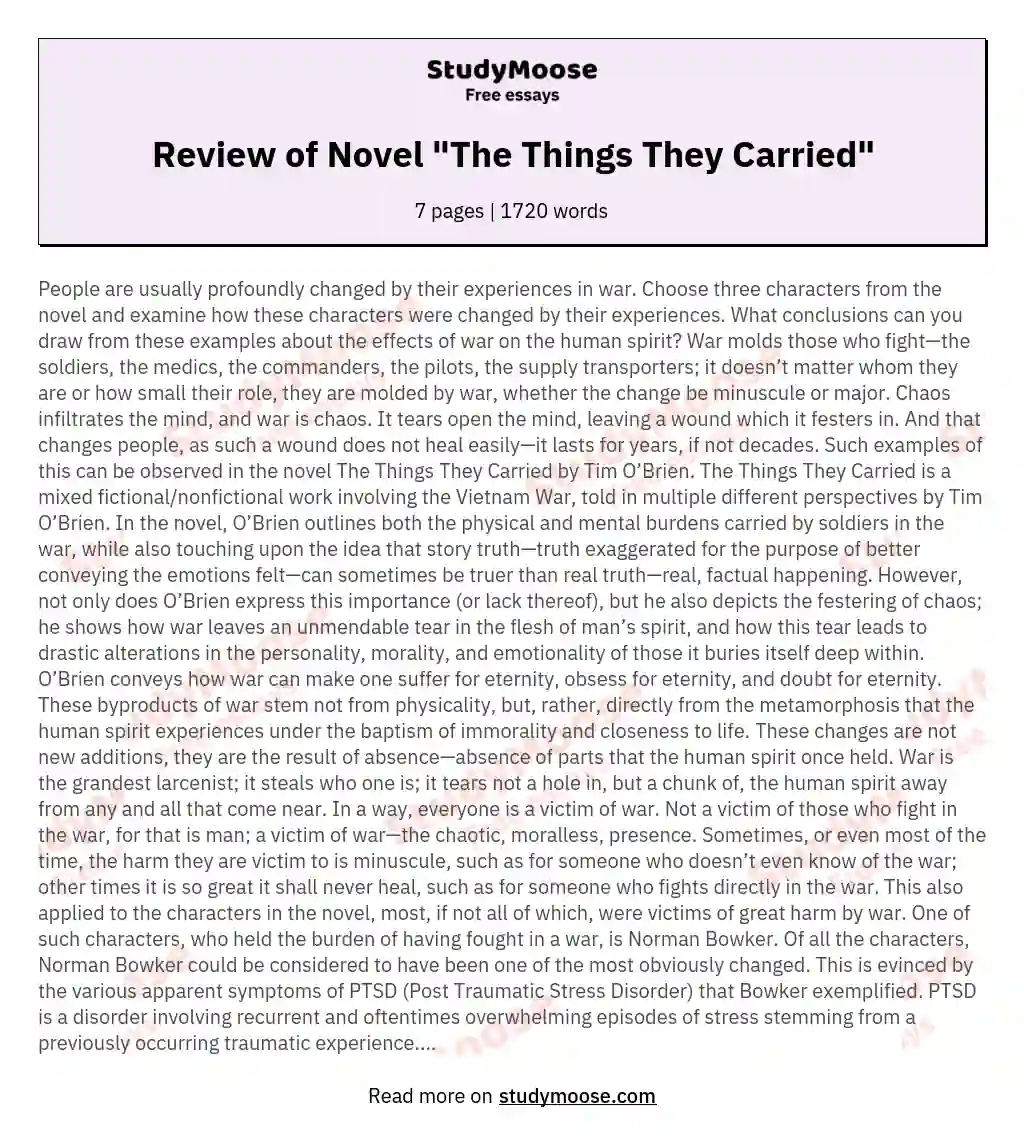 the things they carried book review essay