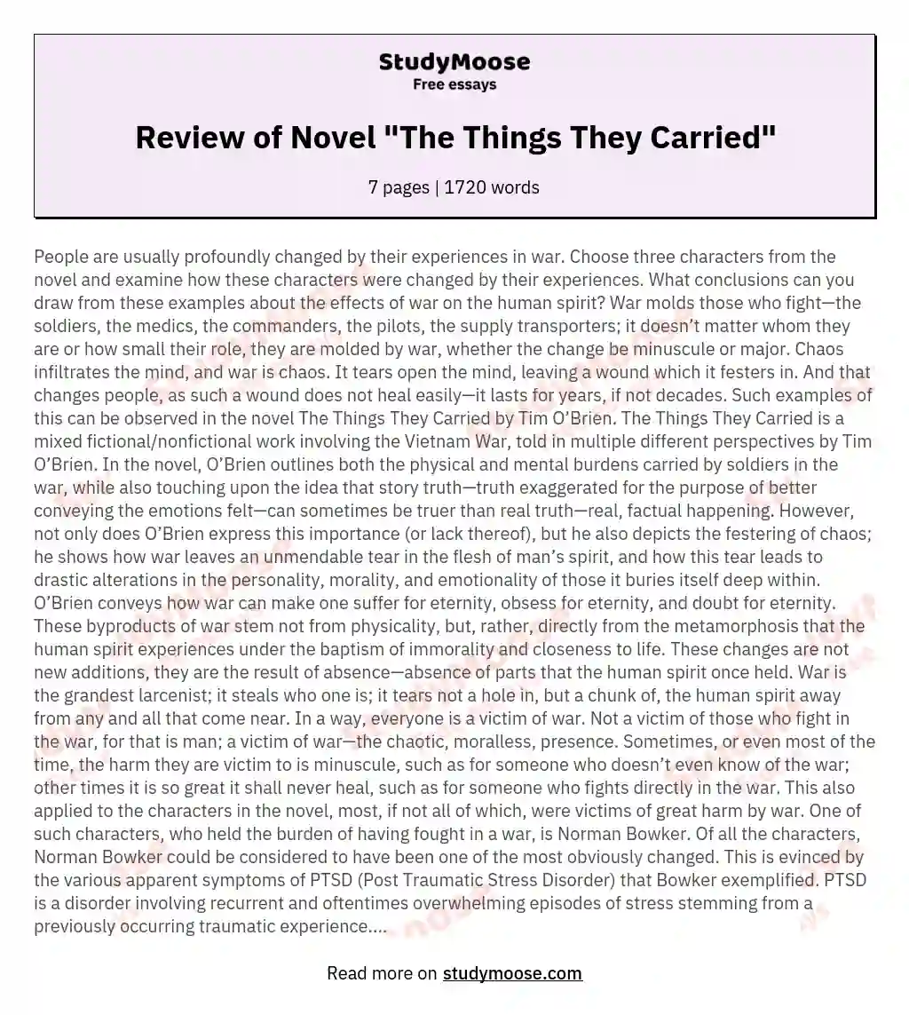 Review of Novel "The Things They Carried" essay