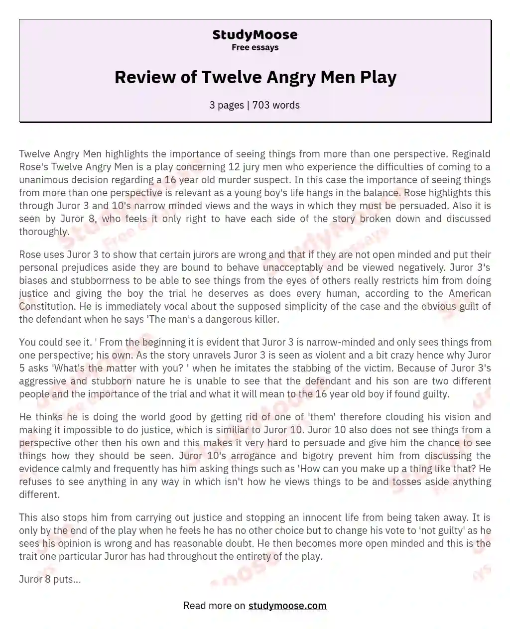 The Significance of Diverse Perspectives in "Twelve Angry Men" essay