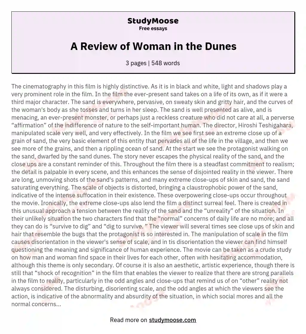 A Review of Woman in the Dunes essay