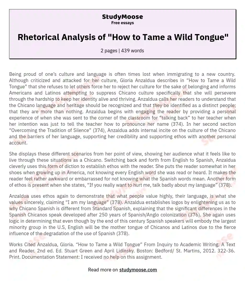Rhetorical Analysis of "How to Tame a Wild Tongue" essay