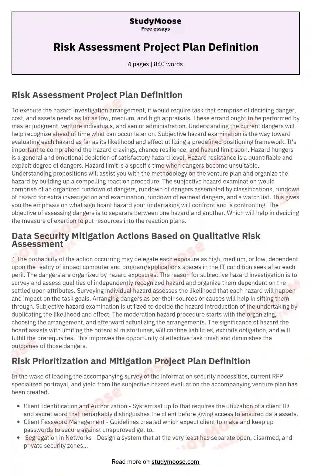 Risk Assessment Project Plan Definition