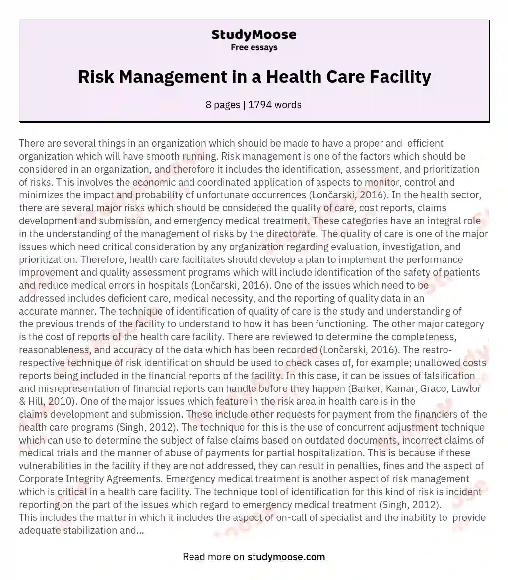 Risk Management in a Health Care Facility essay