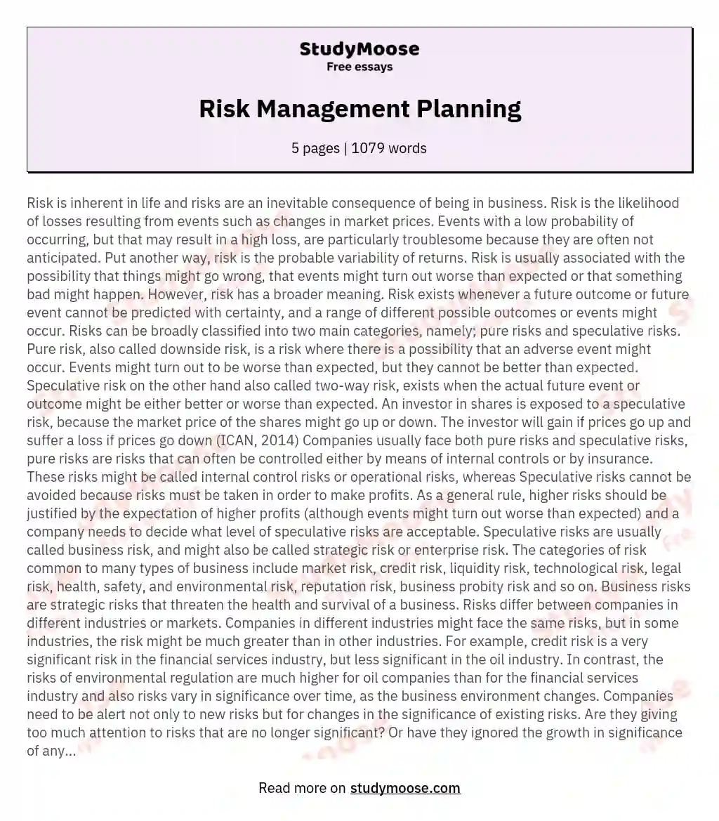 Risk Management Planning essay