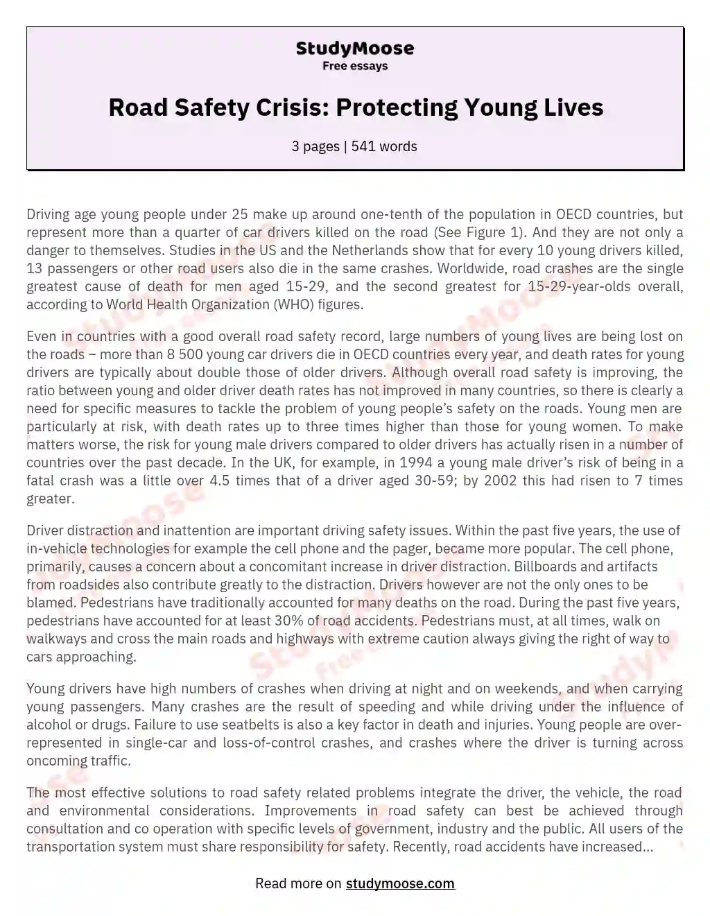Road Safety Crisis: Protecting Young Lives essay