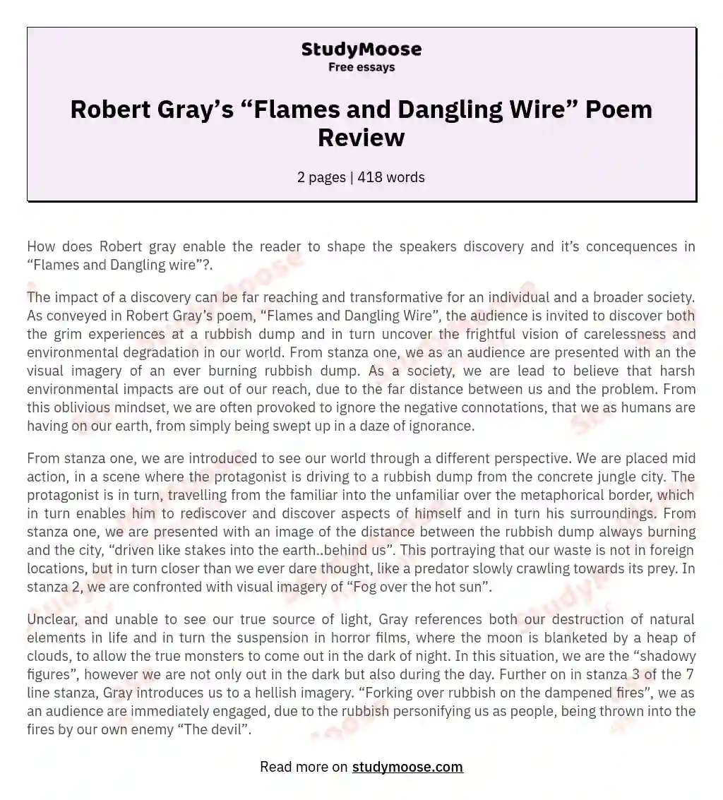 Robert Gray’s “Flames and Dangling Wire” Poem Review
