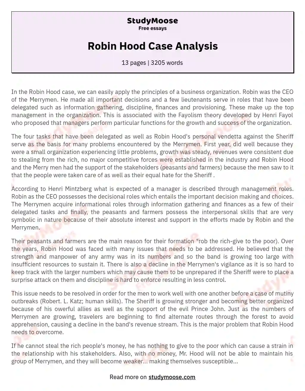 Robin Hood Case Analysis essay