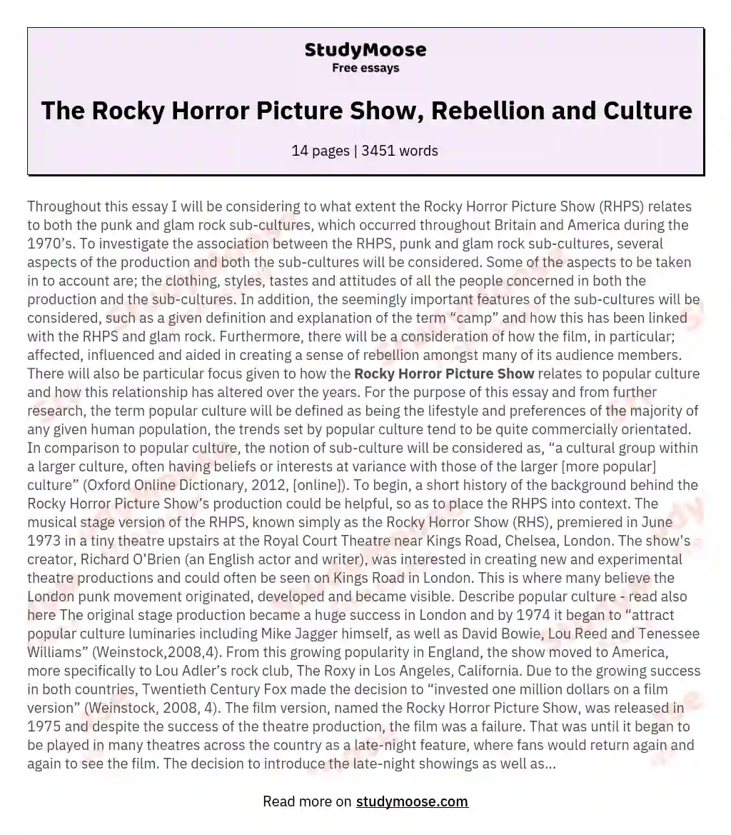 The Rocky Horror Picture Show, Rebellion and Culture essay