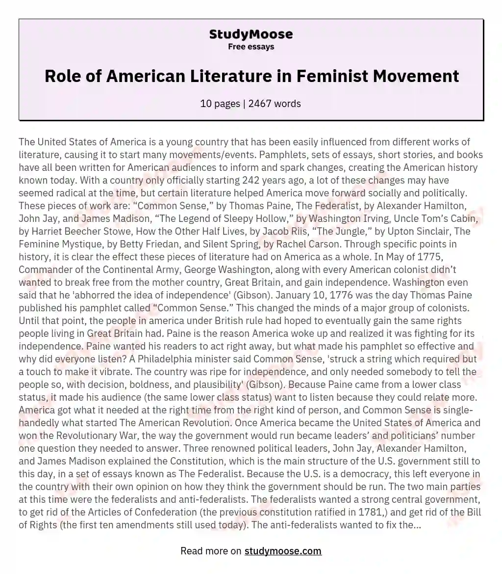 Role of American Literature in Feminist Movement essay