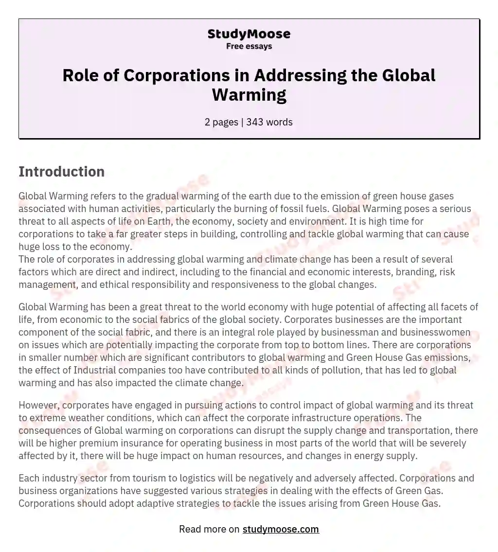 Role of Corporations in Addressing the Global Warming essay